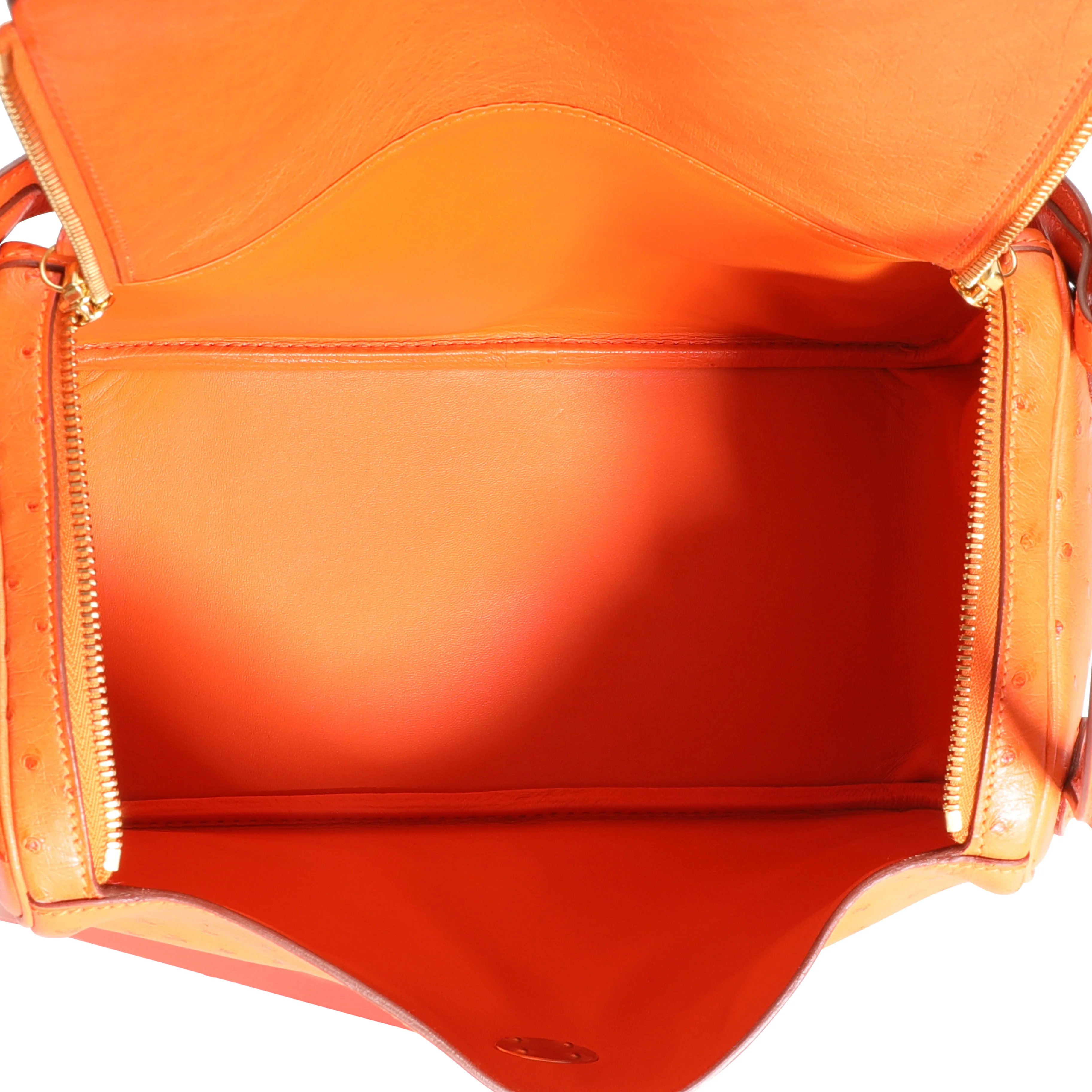 Tangerine Ostrich Lindy 30 GHW - Image 8