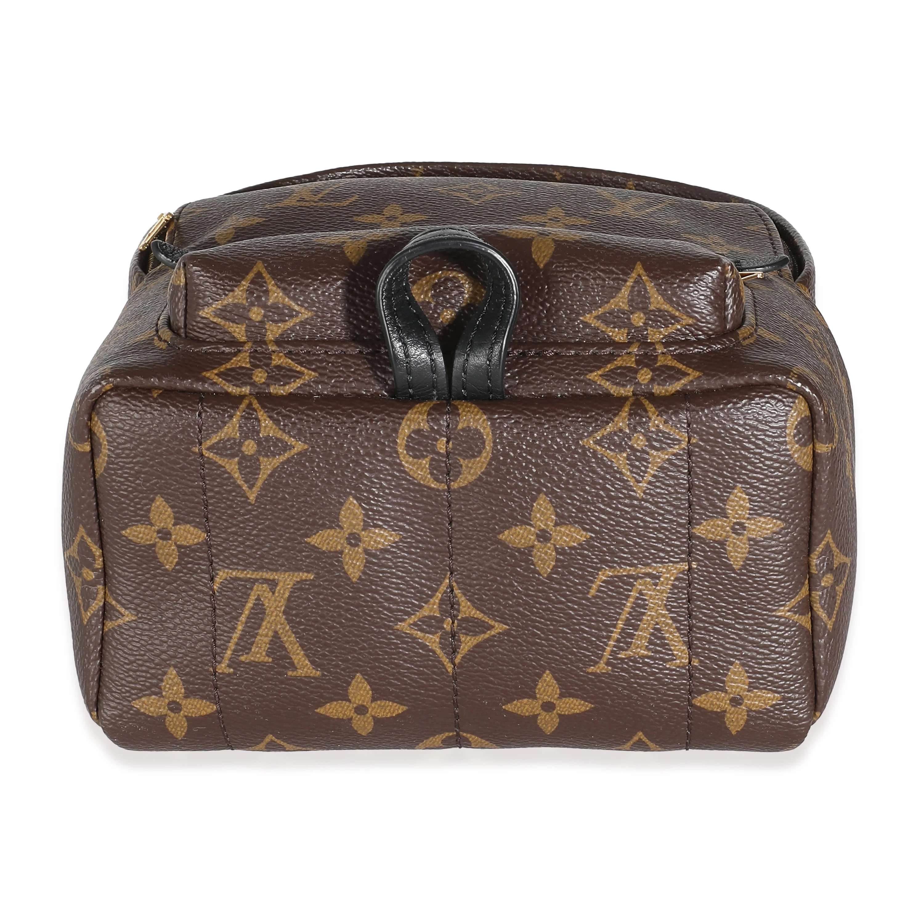 Monogram Canvas Mini Palm Springs - Image 4