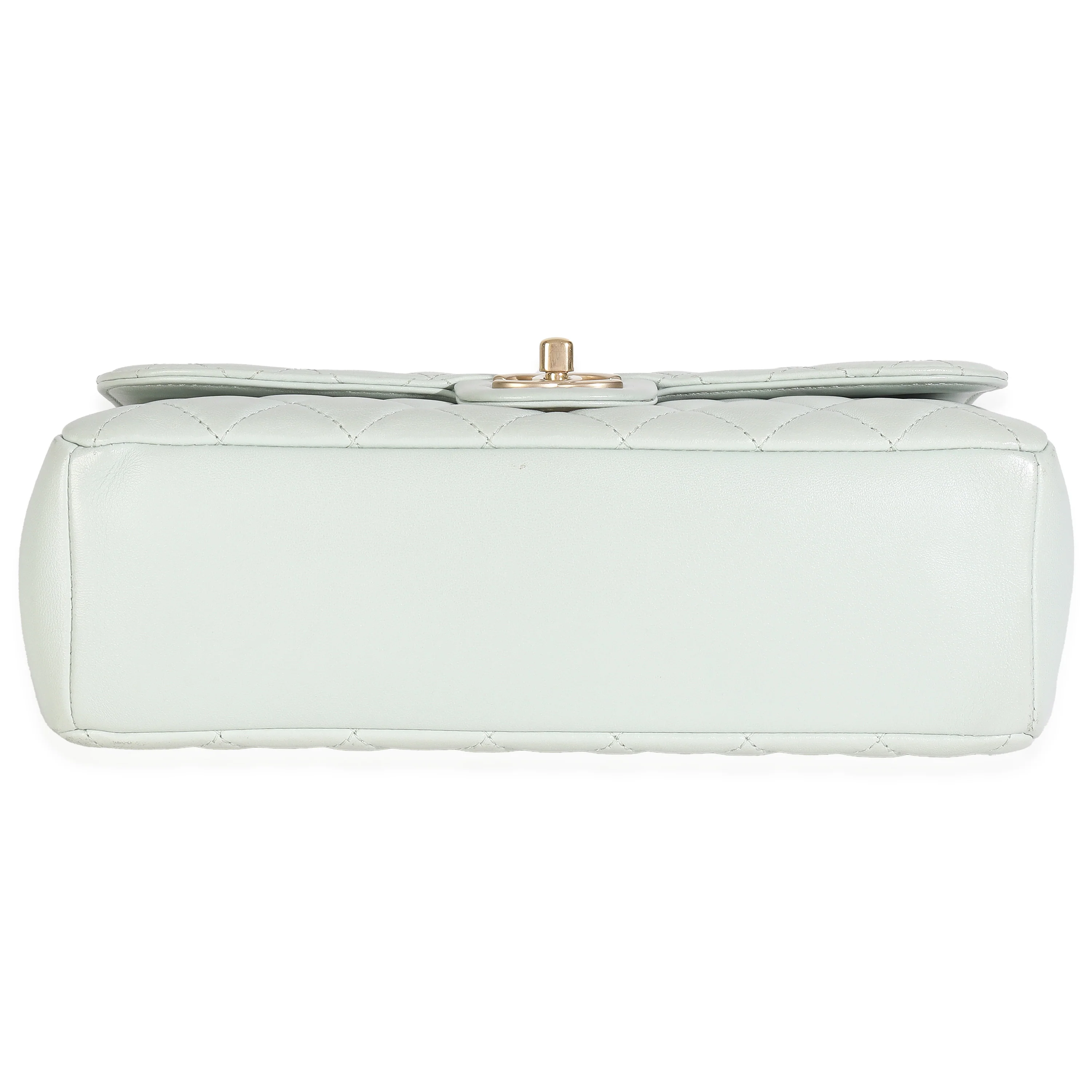 Light Green Quilted Lambskin Medium Mademoiselle Chic Flap Bag - Image 5