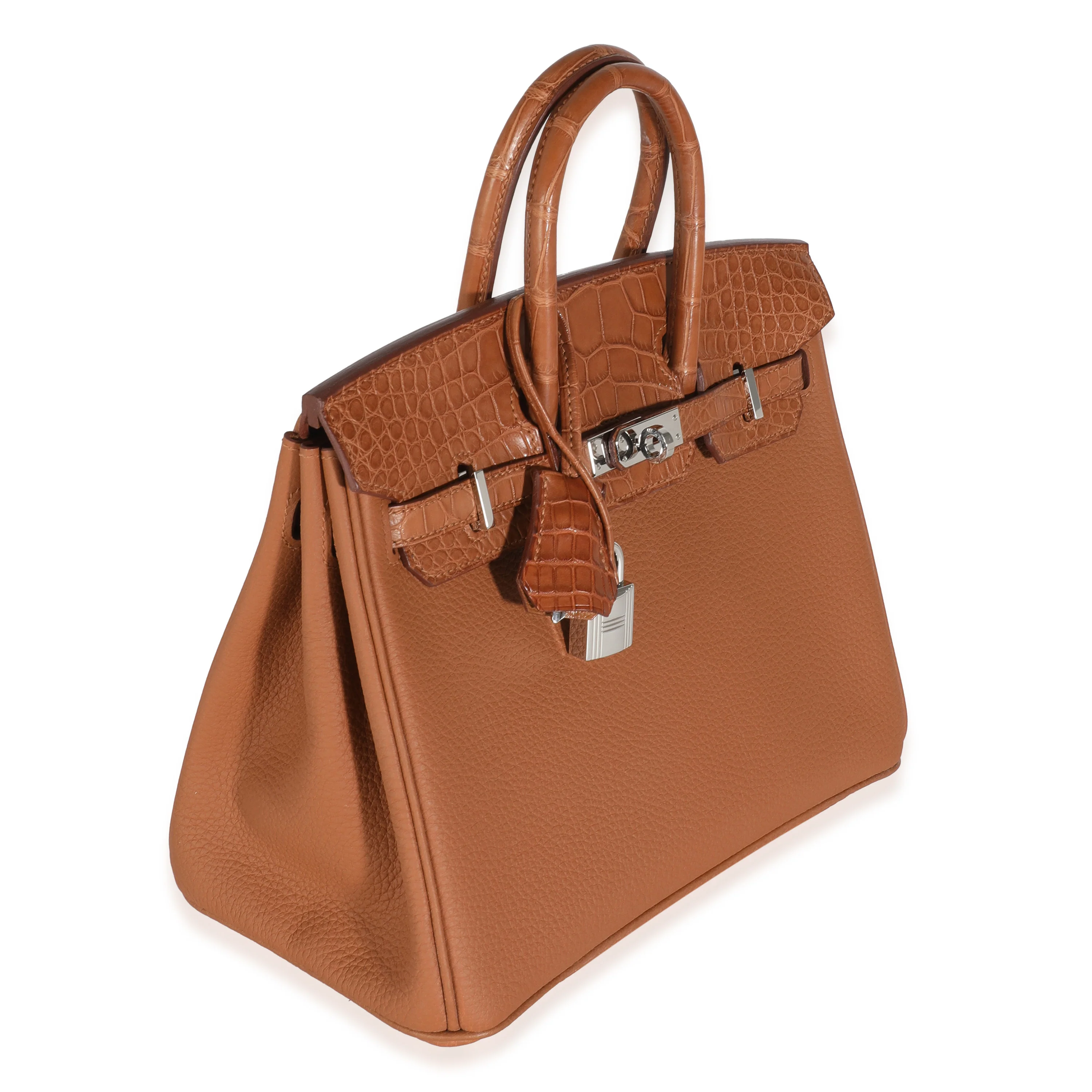 Gold Togo Matte Alligator Touch Birkin 25 PHW - Image 3