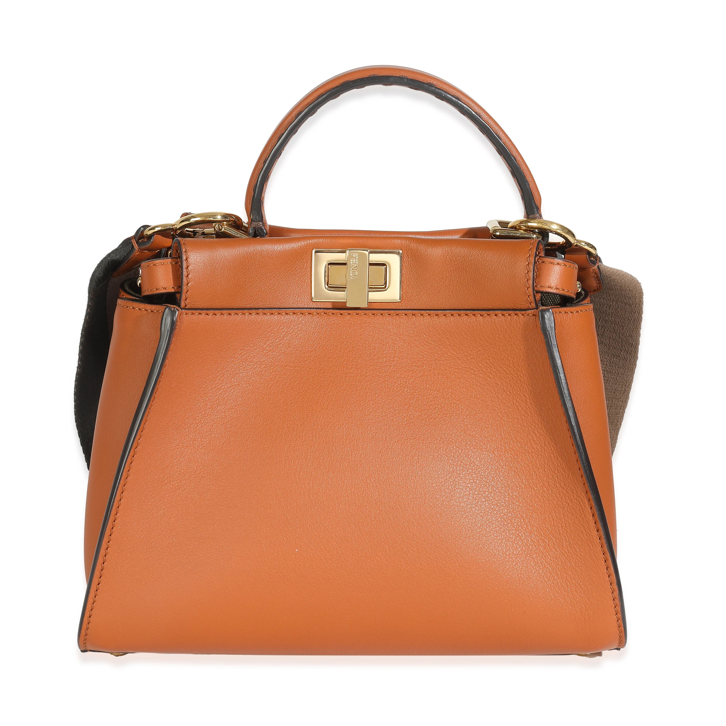Brandy Amazzonia Seta Canvas FF Embroidered Mini Peekaboo Iconic Satchel - Image 4